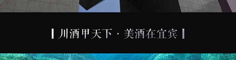 52°密鑒（鑒賞·藝術(shù)）500ml 五糧液股份有限公司出品