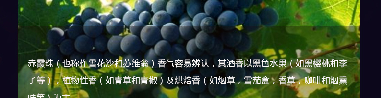 法國紅酒整箱拉菲傳奇波爾多法定產區紅葡萄酒750ml